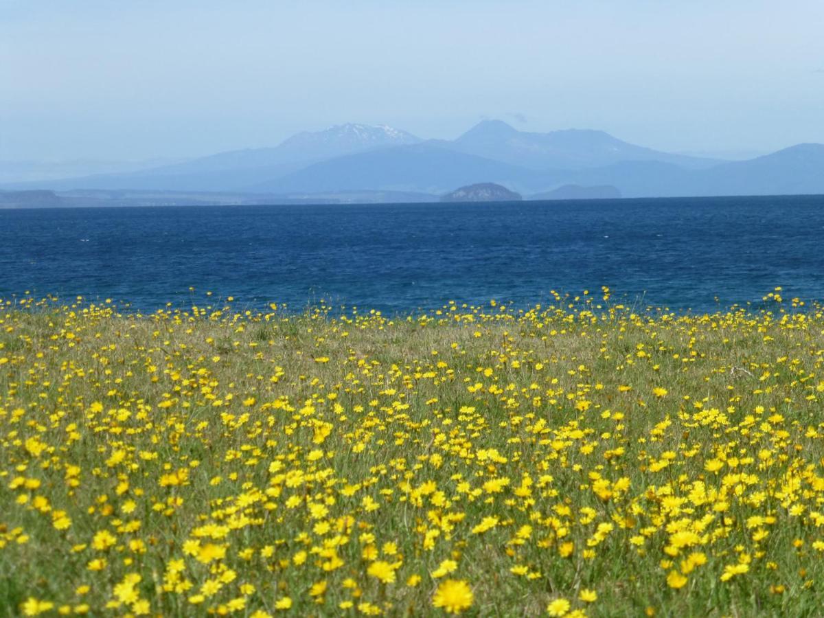 You Little Beauty - Wharewaka Beach Magic Taupo Bagian luar foto